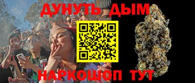сатива Лесосибирск