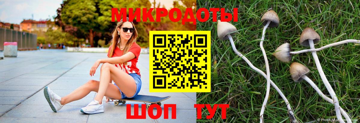 Тобольск  Галлюциногенные грибы Magic Shrooms  Вход с VPN  Галлюциногенные грибы мухоморы 